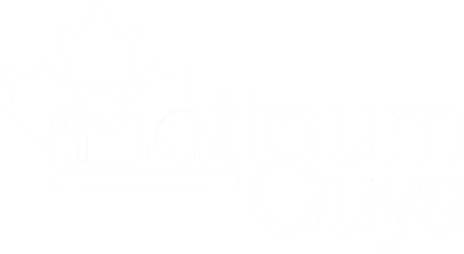 Platinum Guys logo